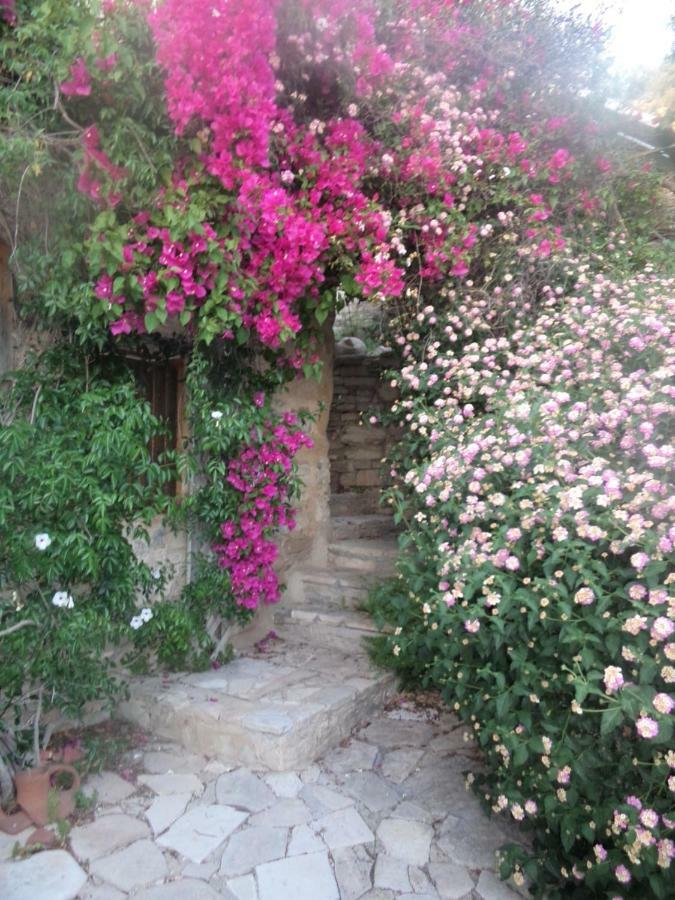 Oleander Stone House Lemona Exterior foto